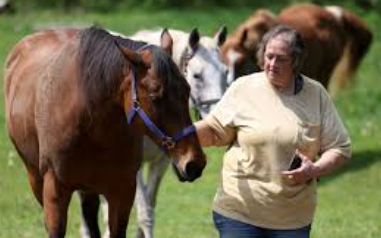 The Role of Royal Families in Racing