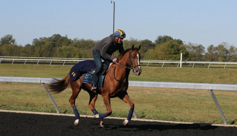 The Role of Exercise Riders